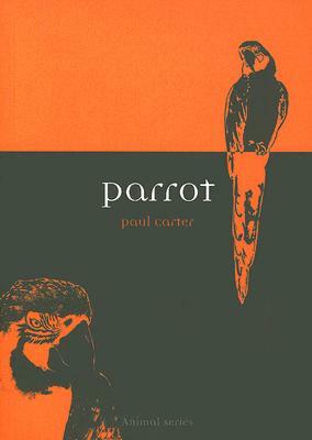 Parrot by Paul Carter