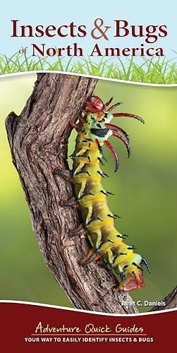 Insects and Bugs of North America by Jaret C. Daniels