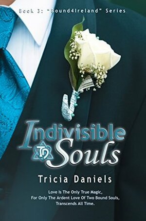 Indivisible Souls by Tricia Daniels