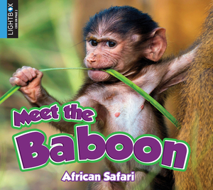 Meet the Baboon by Katie Gillespie