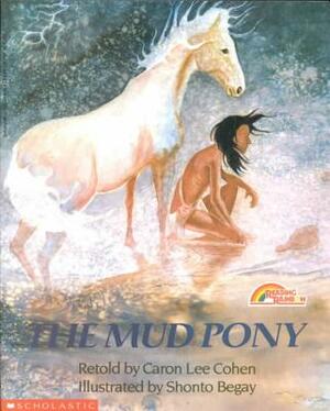 The Mud Pony by Caron Lee Cohen
