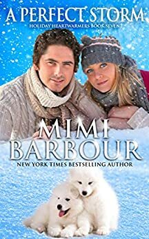 A Perfect Storm by Mimi Barbour