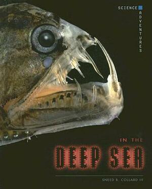 In the Deep Sea by Sneed B. Collard III