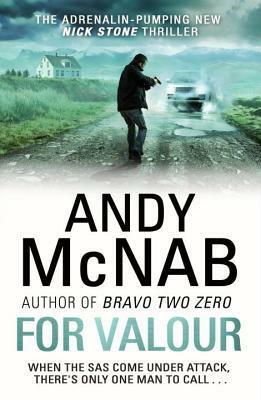 For Valour by Andy McNab