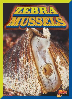 Zebra Mussels by Scott Pearson