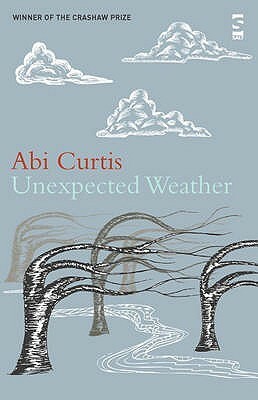 Unexpected Weather by Abi Curtis