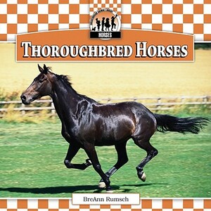 Thoroughbred Horses by Breann Rumsch