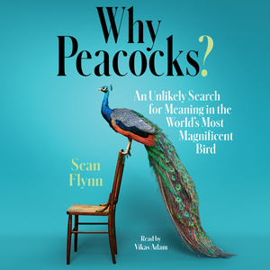 Why Peacocks? by Sean Flynn