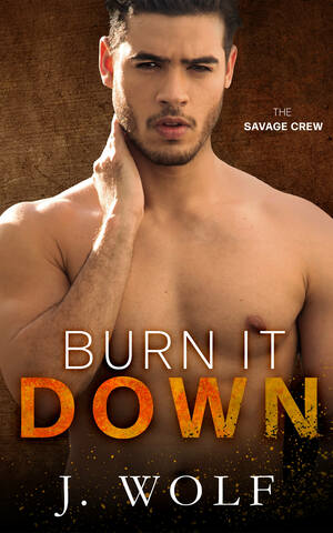 Burn it Down by Julia Wolf