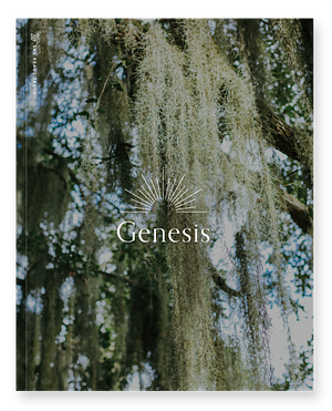 Genesis  by She Reads Truth