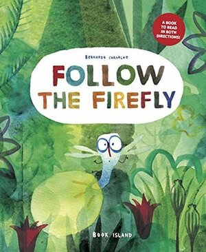 Follow the Firefly / Run, Rabbit, Run by Bernardo P. Carvalho