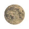 celestialsblues's profile picture
