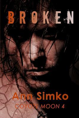 Broken by Ann Simko