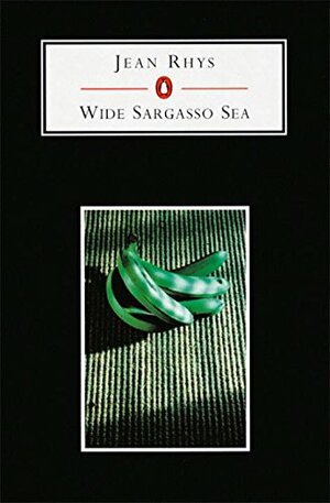 Wide Sargasso Sea by Jean Rhys