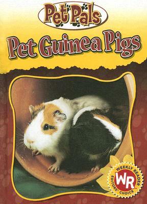 Pet Guinea Pigs by Julia Barnes