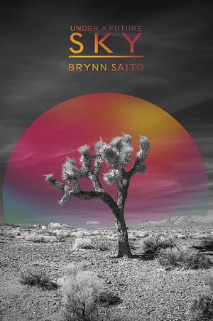 Under a Future Sky: Poems by Brynn Saito