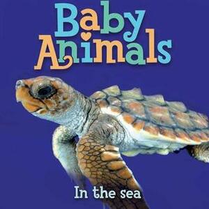 Baby Animals In the Sea by Kingfisher Publications