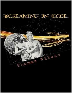 Screaming in Code by Thomas Wiloch