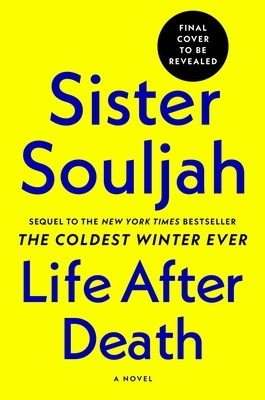 Life After Death by Sister Souljah