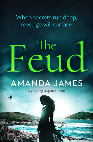The Feud by Amanda James