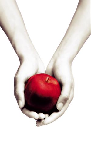 Twilight by Stephenie Meyer