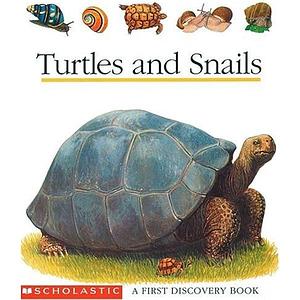 Turtles and Snails by Gilbert Houbre