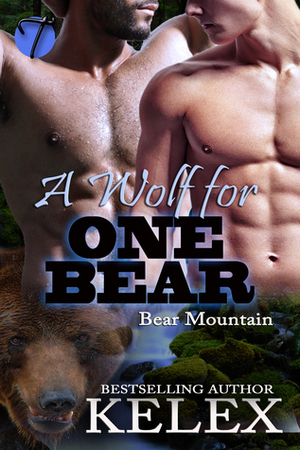 A Wolf for One Bear by Kelex