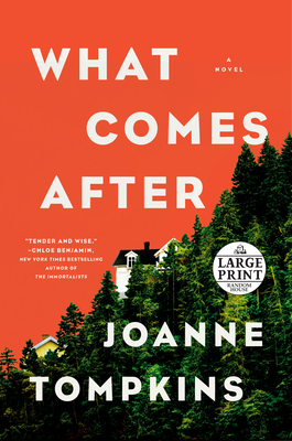 What Comes After by JoAnne Tompkins