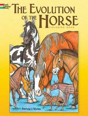 The Evolution of the Horse by Patricia J. Wynne