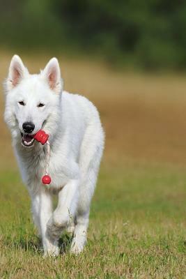 Swiss Shepherd: The White Swiss Shepherd Dog Became the 219th Pedigree Dog Breed to Be Recognized by the Kennel Club in October 2017. by Planners and Journals