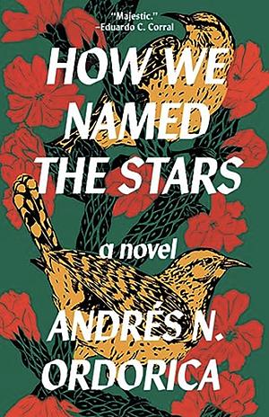 How We Named the Stars by Andrés N. Ordorica