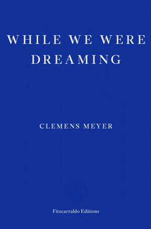 While We Were Dreaming by Clemens Meyer