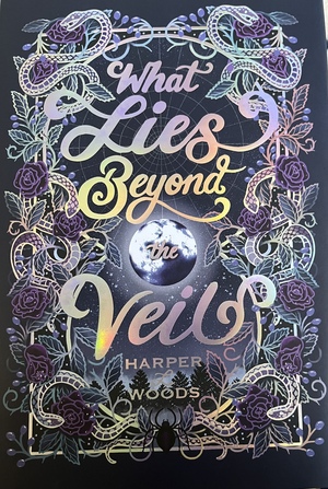 What Lies Beyond the Veil by Harper L. Woods