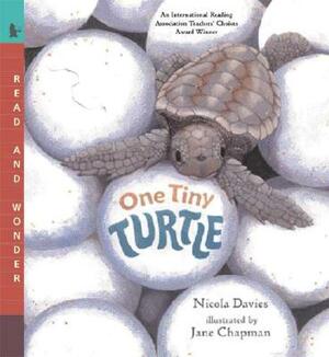 One Tiny Turtle: Read and Wonder by Nicola Davies