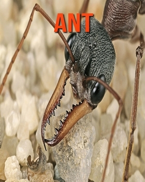 Ant: Learn About Ant and Enjoy Colorful Pictures by Diane Jackson