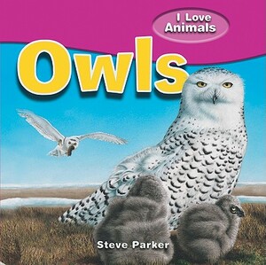 Owls by Steve Parker