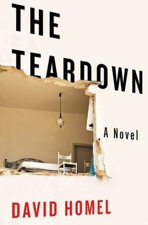 The Teardown by David Homel