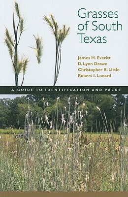Grasses of South Texas: A Guide to Identification and Value by Christopher Little, D. Lynn Drawe, James H. Everitt
