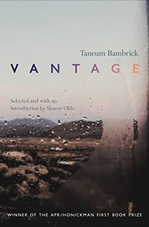 Vantage by Taneum Bambrick