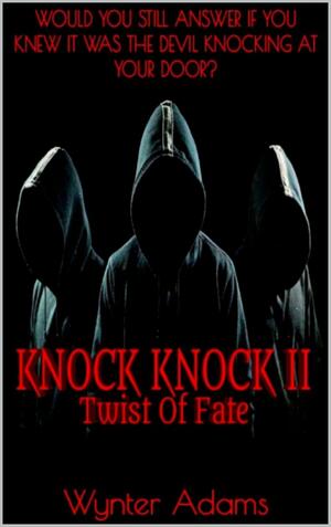 Knock Knock Twist of Fate by Wynter Adams, Wynter Adams