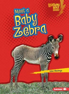 Meet a Baby Zebra by Lisa Owings