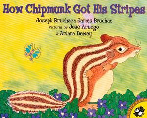 How Chipmunk Got His Stripes by Joseph Bruchac, James Bruchac