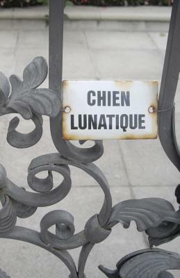 Chien Lunatique: Poems by Christopher Bernard