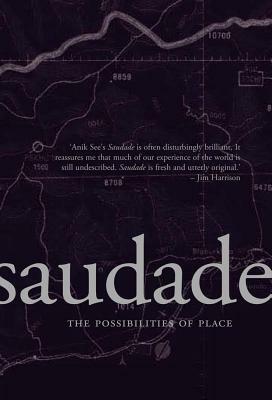 Saudade: The Possibilities of Place by Anik See