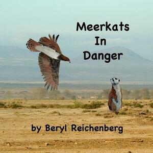 Meerkats In Danger by Beryl Reichenberg
