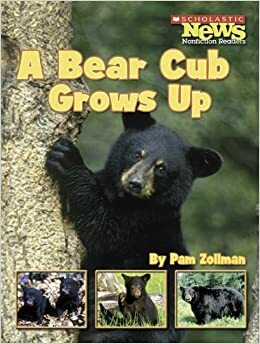 A Bear Cub Grows Up by Pam Zollman