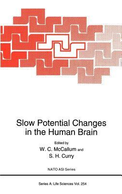 Slow Potential Changes in the Human Brain by 