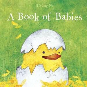 A Book of Babies by Il Sung Na