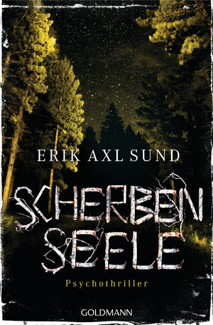 Scherbenseele by Erik Axl Sund