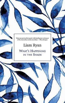What's Happening in the Shade by Liam Ryan